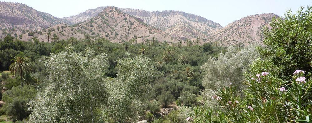 Palais Villa Talaa Resort Taroudant Buitenkant foto